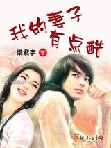 我的妻子有点酷小说