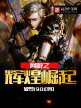 网游之辉煌崛起小说