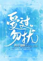 爱过，勿扰小说