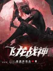 飞龙战神小说