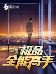 极品全能高手小说