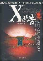X报告小说