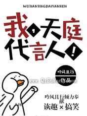 我，天庭代言人小说