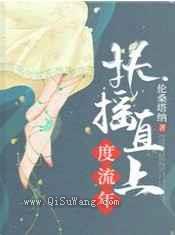扶摇直上度流年小说