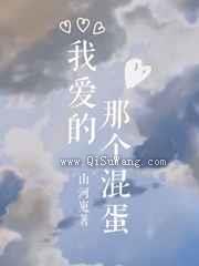 我爱的那个混蛋小说