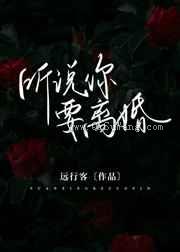 听说你要离婚小说