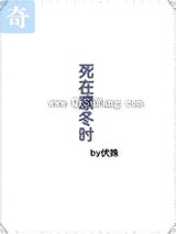 死在凛冬时小说