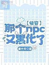 那个npc又黑化了小说