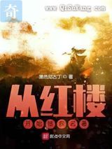 从红楼开始拯救名著小说