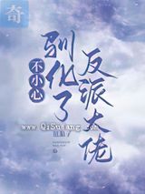 不小心驯化了反派大佬小说