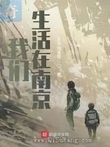 我们生活在南京小说