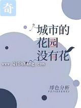 城市的花园没有花小说