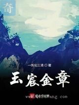 玉宸金章小说