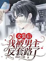 女装后我被男主反套路了小说