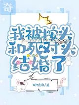 我被按头和死对头结婚了小说