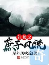 红楼之庶子风流小说