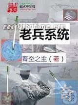 老兵系统小说