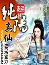 纯阳真仙小说