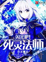 闪光吧！死灵法师小说