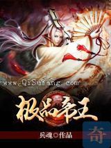 极品帝王小说