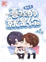 重生之喜欢的就是你小说