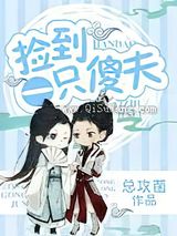 捡到一只傻夫小说