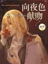 向夜色献吻小说
