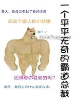 一个平平无奇的霸道总裁小说