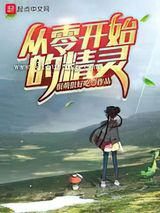 从零开始的精灵小说