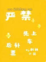 严禁先上车后补票小说