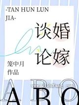 谈婚论嫁小说
