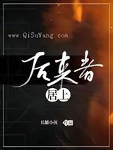 后来者居上小说