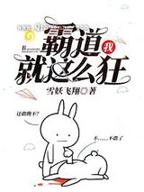 霸道，我就这么狂小说