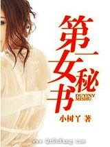 第一女秘书小说