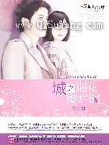 城之烟花绚烂时小说
