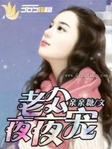 老公夜夜宠小说