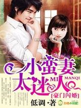 豪门闪婚，小蛮妻太迷人小说