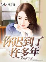 你迟到了许多年小说