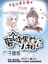 公子倾城：娶个腹黑小相公小说