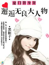 豪门替身妻：邂逅无良大人物小说