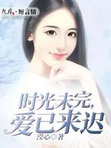 时光未完，爱已来迟小说