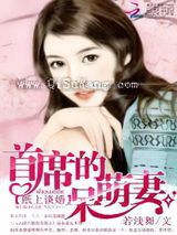 纸上谈婚：首席的呆萌妻小说