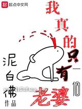 我真的只有一个老婆小说