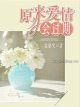 原来爱情会过期小说