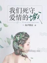 我们死守爱情的城小说