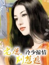 冷少掠情：老婆，别想逃！小说