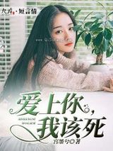 爱上你，我该死小说