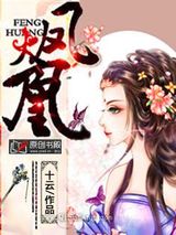 火凤凰小说