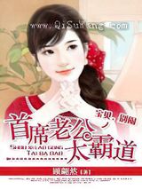 全球盛宠小萌妻小说