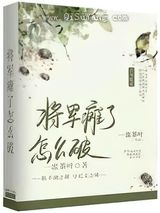 将军瘫了怎么破小说